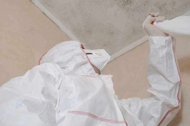 Professional Mold Remediation in Albion, NE